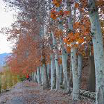 Untitled-21